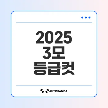 2025 3모 등급컷 전체 분석과 전략은?