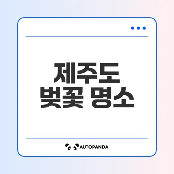 제주대 벚꽃길 꼭 가봐야 할 이유는?