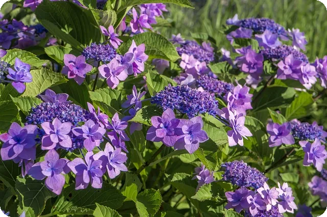 경정청구 입금은 어떻게 하나요