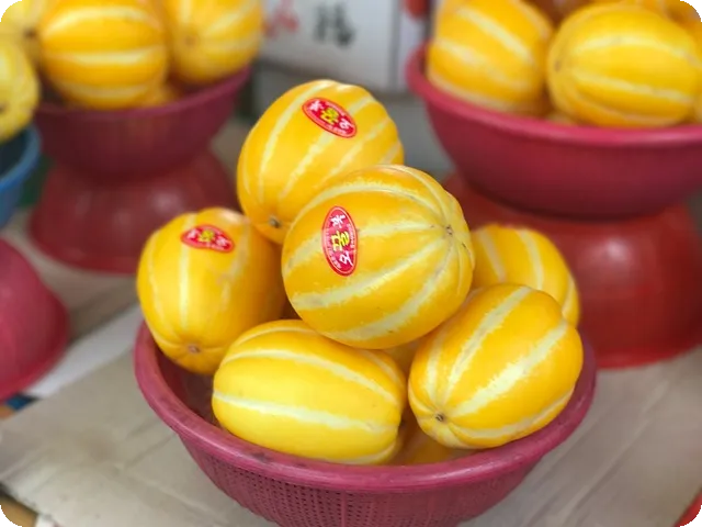 매실 수확시기 언제가 적절할까