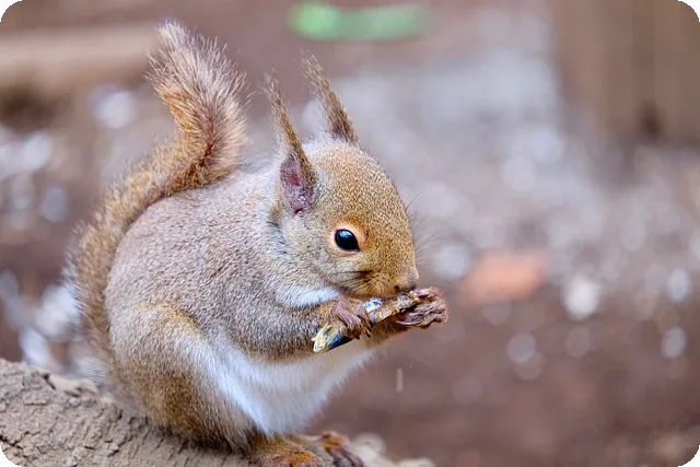 미학과 옥자연의 연기 여정과 가치관